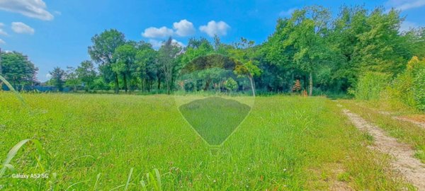 terreno agricolo in vendita a Muscoline