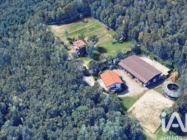 negozio in vendita a Muscoline