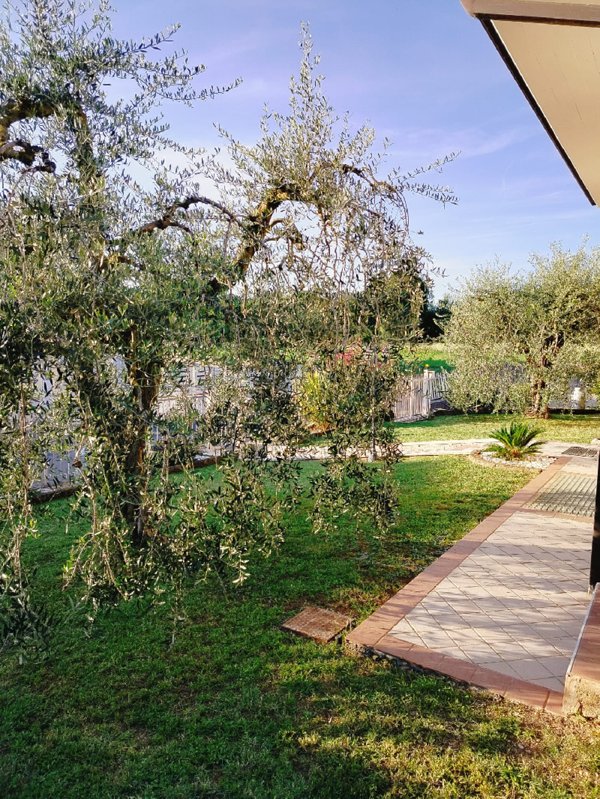 casa indipendente in vendita a Muscoline