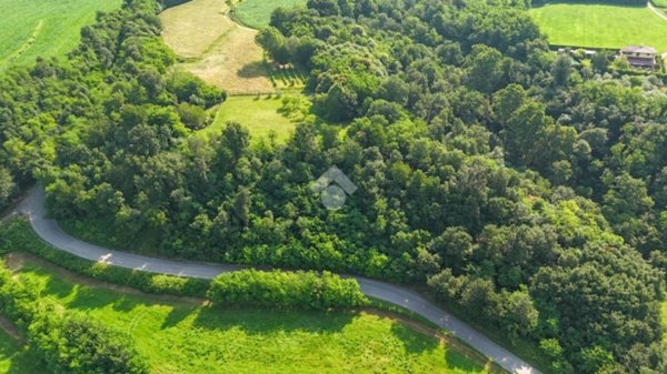 terreno agricolo in vendita a Muscoline