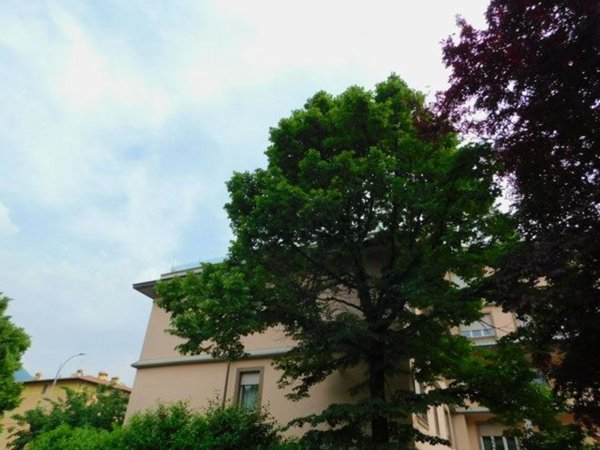appartamento in vendita a Nave