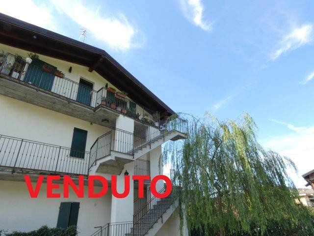 immagine annuncio 0 di 15