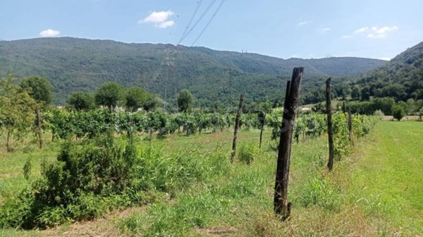 terreno agricolo in vendita a Nave
