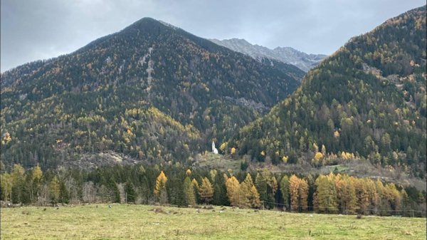 terreno agricolo in vendita a Nave