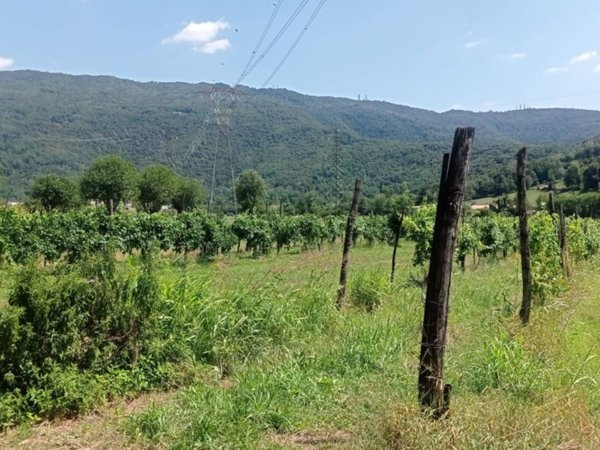 terreno agricolo in vendita a Nave