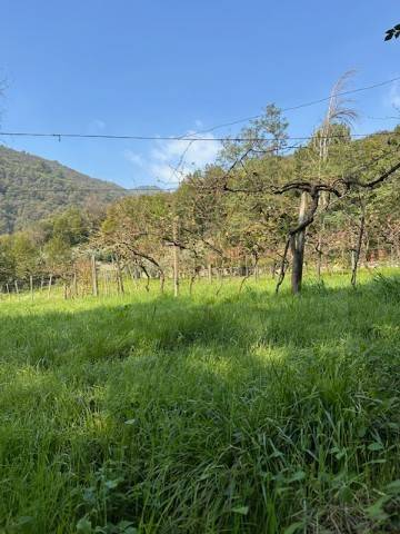 terreno agricolo in vendita a Nave