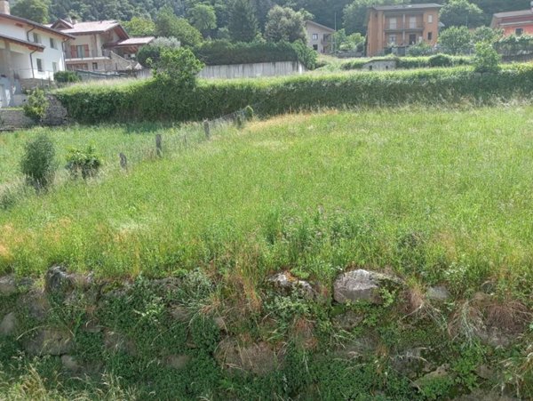 casa indipendente in vendita a Niardo