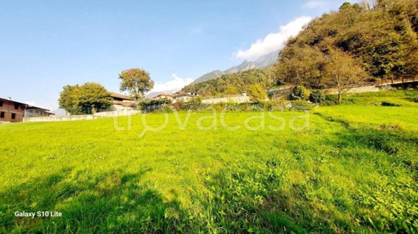 casa indipendente in vendita a Niardo