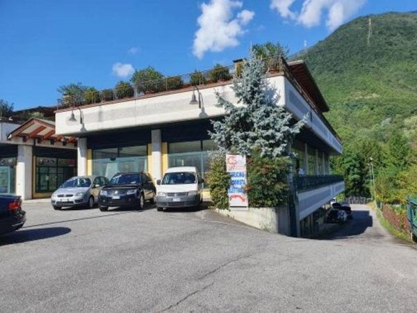 negozio in vendita a Niardo