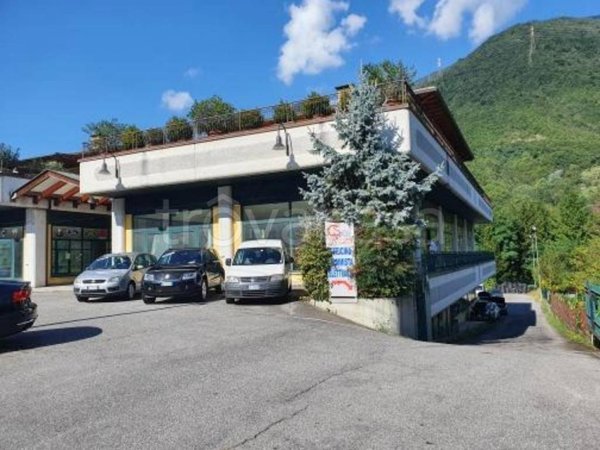 negozio in vendita a Niardo