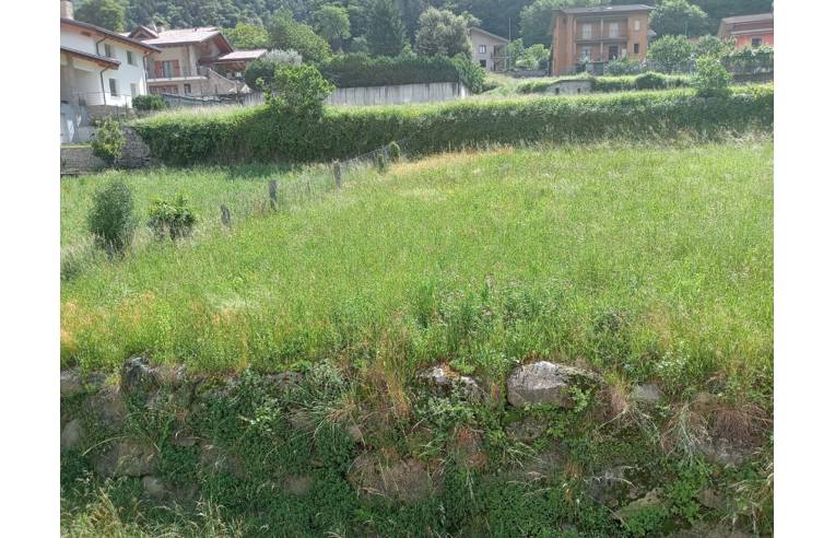 casa indipendente in vendita a Niardo