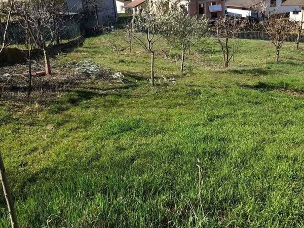 terreno edificabile in vendita a Niardo