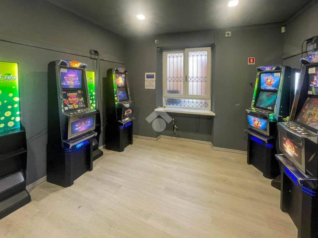 immagine annuncio 0 di 15