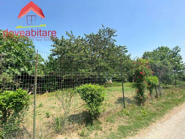 terreno agricolo in vendita a Cavour