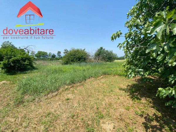 terreno agricolo in vendita a Cavour