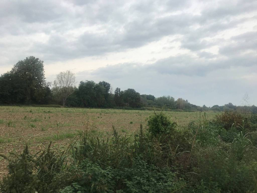terreno agricolo in vendita a Nuvolera