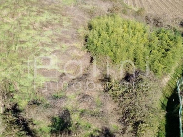 terreno agricolo in vendita ad Ome