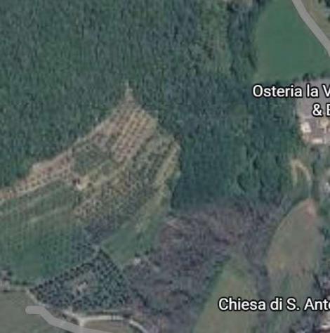 terreno agricolo in vendita ad Ome