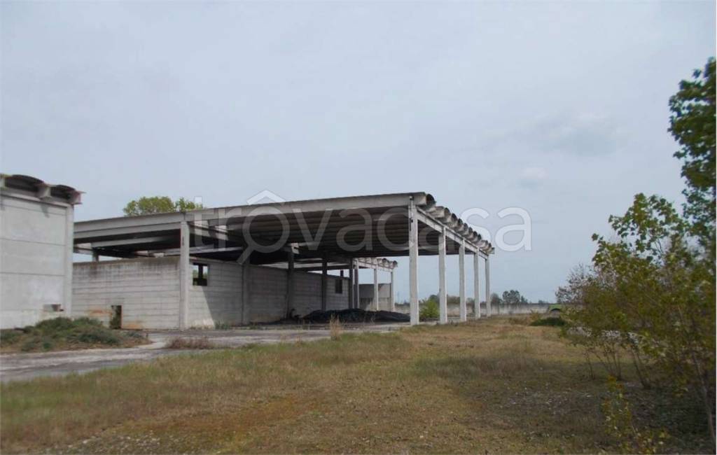 casa indipendente in vendita ad Orzinuovi