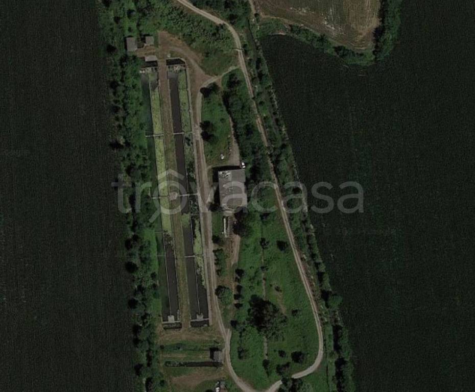 azienda agricola in vendita ad Orzinuovi
