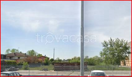immagine annuncio 0 di 15