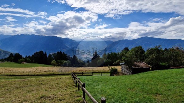 quadrivano in vendita ad Ossimo