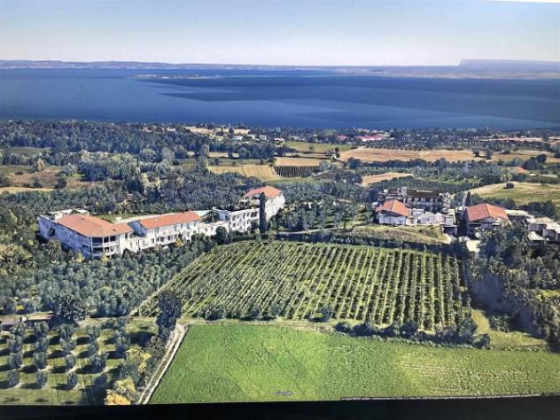 terreno agricolo in vendita a Padenghe sul Garda