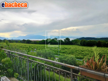 appartamento in vendita a Padenghe sul Garda