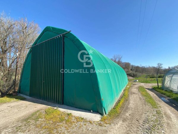 terreno agricolo in vendita a Padenghe sul Garda