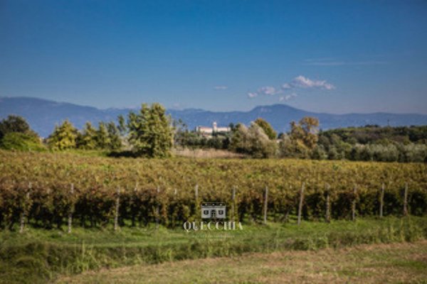 appartamento in vendita a Padenghe sul Garda