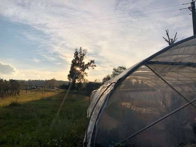 terreno agricolo in vendita a Padenghe sul Garda