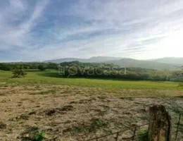 appartamento in vendita a Padenghe sul Garda