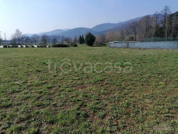 terreno edificabile in vendita a Paitone
