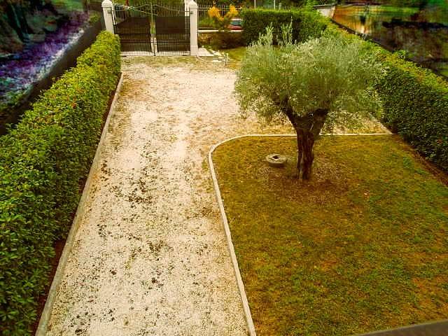 casa indipendente in vendita a Paitone