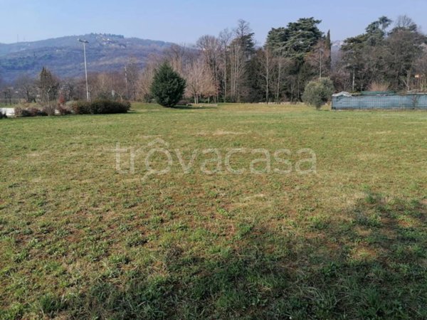 terreno edificabile in vendita a Paitone