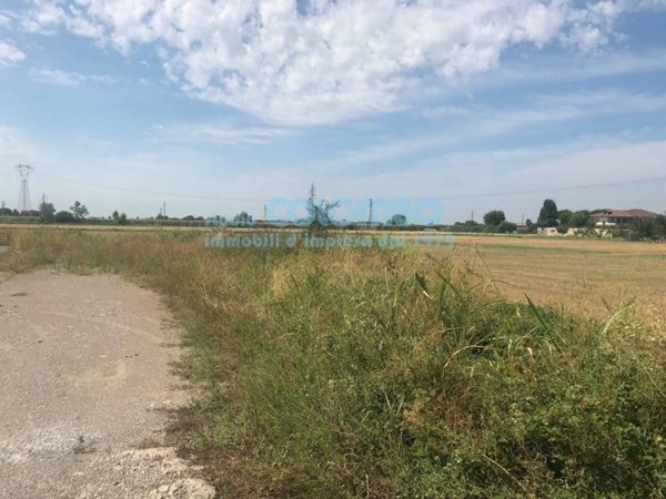 terreno agricolo in vendita a Palazzolo sull'Oglio