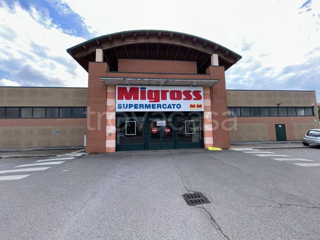 immagine annuncio 0 di 15