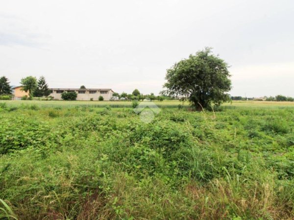 terreno agricolo in vendita a Palazzolo sull'Oglio