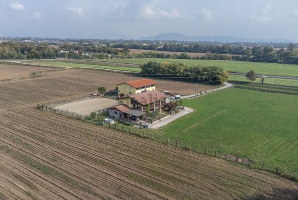 esavano in vendita a Palazzolo sull'Oglio