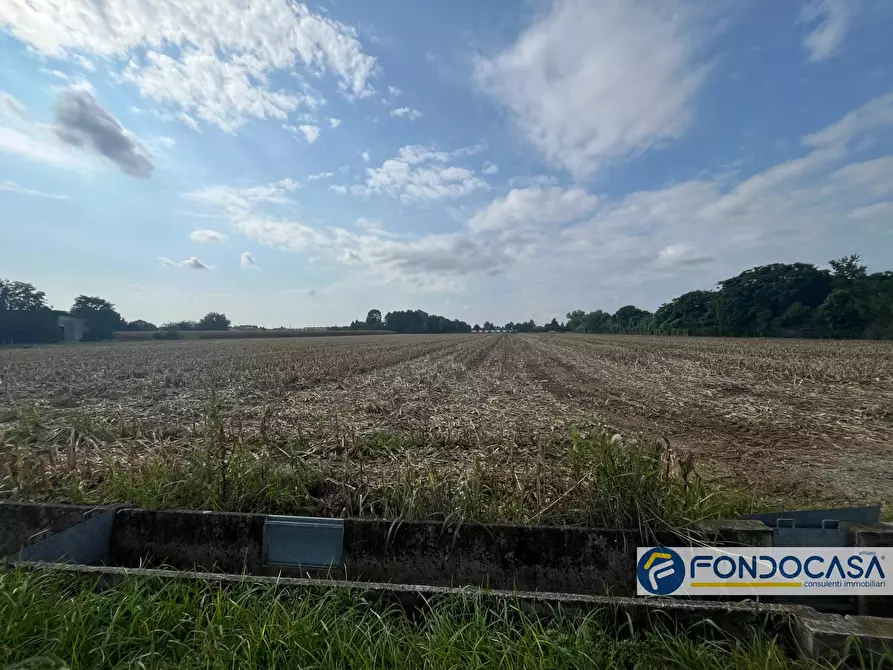 terreno agricolo in vendita a Palazzolo sull'Oglio