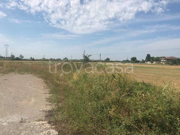 terreno agricolo in vendita a Palazzolo sull'Oglio in zona San Pancrazio