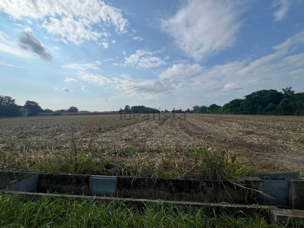 terreno agricolo in vendita a Palazzolo sull'Oglio