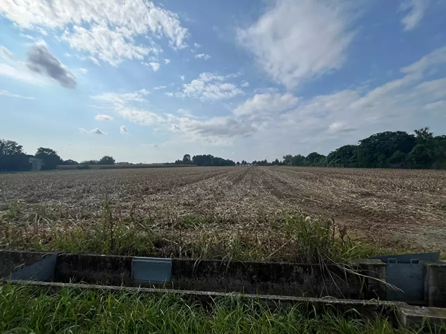 terreno agricolo in vendita a Palazzolo sull'Oglio