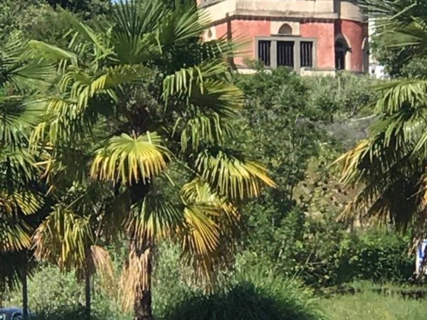 appartamento in vendita a Paratico