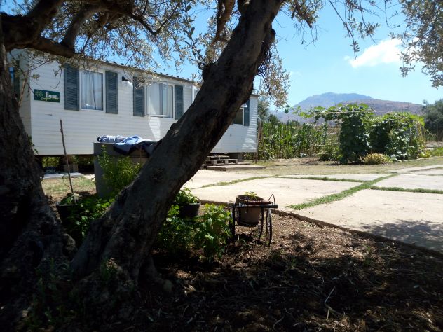 terreno agricolo in vendita a Paratico