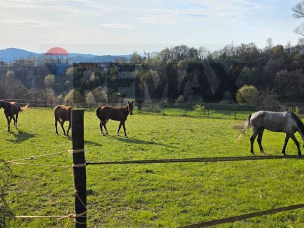 terreno agricolo in vendita a Paratico