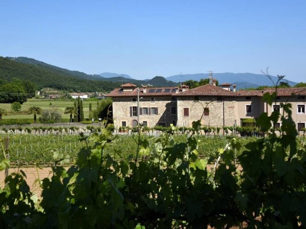 casa indipendente in vendita a Passirano