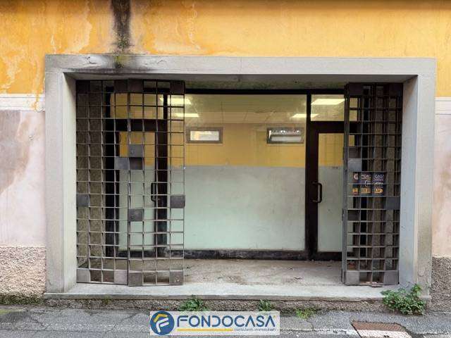 immagine annuncio 0 di 15