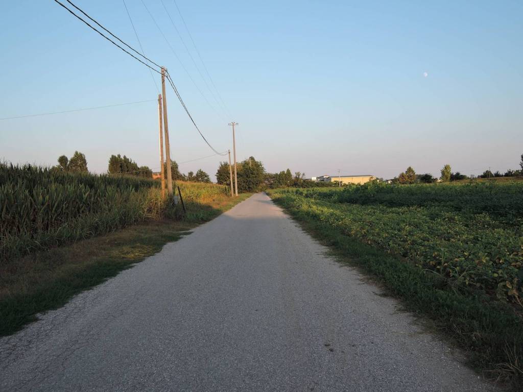 terreno agricolo in vendita a San Paolo