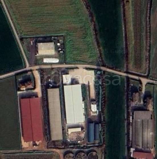 terreno edificabile in vendita a San Paolo